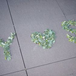 TRUNK HOTELの写真8枚目