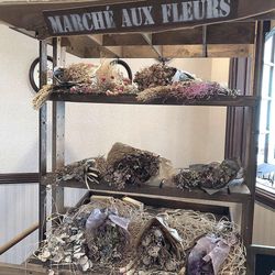 セント・オルコット ガーデンの写真36枚目