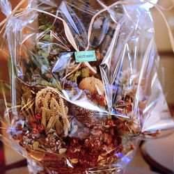 セント・オルコット ガーデンの写真9枚目