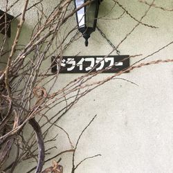 セント・オルコット ガーデンの写真35枚目