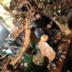 セント・オルコット ガーデンの写真24枚目