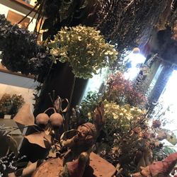 セント・オルコット ガーデンの写真2枚目