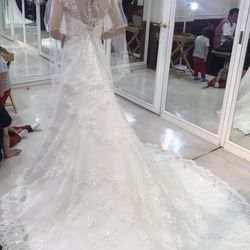 セント・オルコット ガーデンの写真11枚目