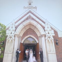 セント・オルコット ガーデンの写真12枚目