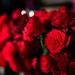 ザ・コンダーハウスの写真25枚目