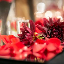 ザ・コンダーハウスの写真6枚目