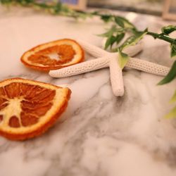 ガーデンヒルズ迎賓館 大宮の写真9枚目