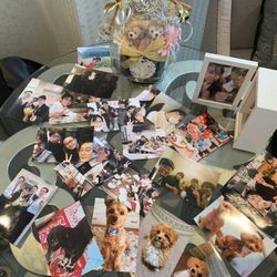 伊勢山ヒルズの写真26枚目