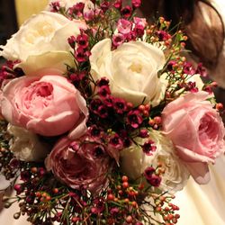 クラシカ表参道の写真33枚目