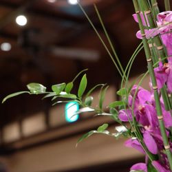 クラシカ表参道の写真7枚目