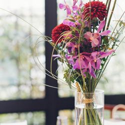 クラシカ表参道の写真17枚目