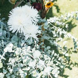 ボンボンボン ラ フェメゾンの写真6枚目