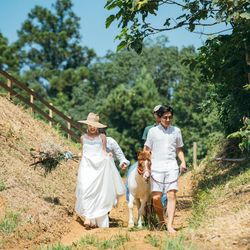 ボンボンボン ラ フェメゾンの写真3枚目