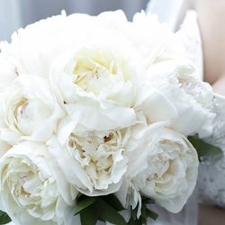 ノートルダム大阪ONEの写真28枚目