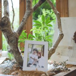 オランジュベールの写真12枚目