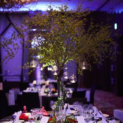 シャングリ・ラ 東京の写真26枚目