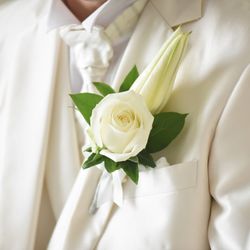 横浜迎賓館の写真35枚目