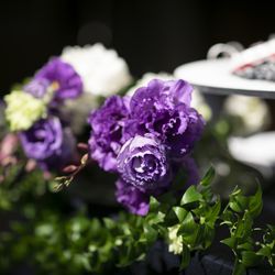 グランド ハイアット 東京の写真7枚目