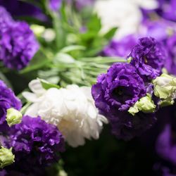 グランド ハイアット 東京の写真28枚目