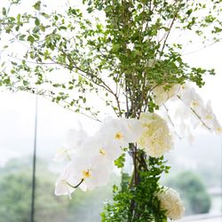 パレスホテル東京の写真22枚目