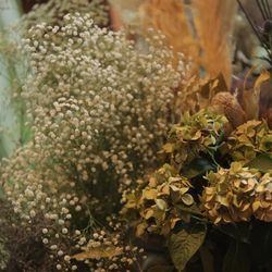 岩崎台倶楽部グラスグラスの写真19枚目