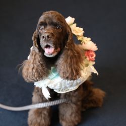 アーカンジェル代官山の写真24枚目