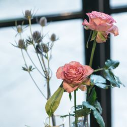 ザ ナンザンハウスの写真3枚目