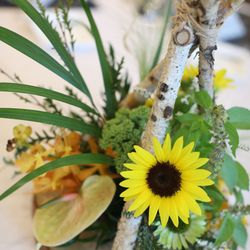 表参道TERRACEの写真27枚目