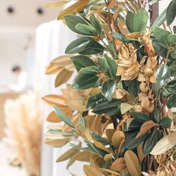 クアンティックの写真22枚目