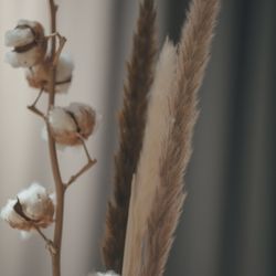 クアンティックの写真23枚目