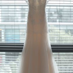 クアンティックの写真10枚目