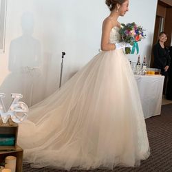 リビエラ逗子マリーナの写真1枚目