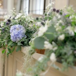 アルモニーソルーナ 表参道の写真11枚目