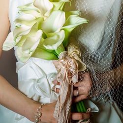 リストランテ ベニーレ ベニーレの写真25枚目