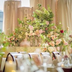 リストランテ ベニーレ ベニーレの写真15枚目