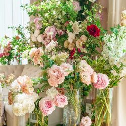 リストランテ ベニーレ ベニーレの写真18枚目