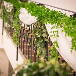 ル・グラン・ミラージュ ONE & ONLYの写真4枚目