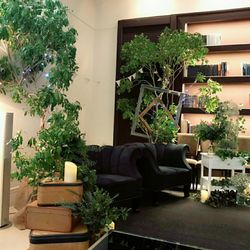 ル・グラン・ミラージュ ONE & ONLYの写真28枚目