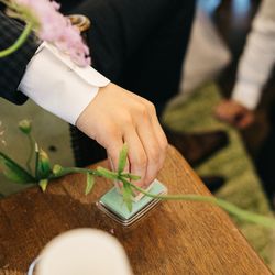 メイブームの写真12枚目