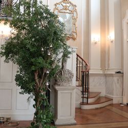 ザ・ジョージアンハウス1997の写真25枚目