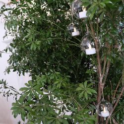 ザ・ジョージアンハウス1997の写真1枚目