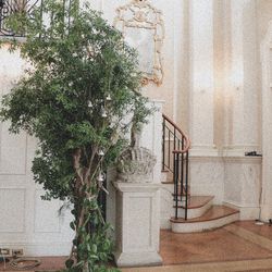 ザ・ジョージアンハウス1997の写真5枚目