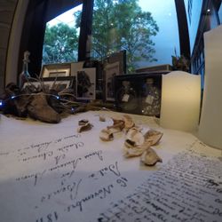 ラソールガーデン名古屋の写真4枚目