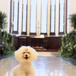 ティアラガーデンズ横浜の写真25枚目