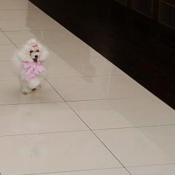 ティアラガーデンズ横浜の写真4枚目