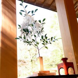 ウエディングテラスの写真21枚目