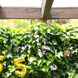 アールベルアンジェチャペル嵯峨野の写真22枚目