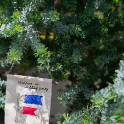 アールベルアンジェチャペル嵯峨野の写真34枚目