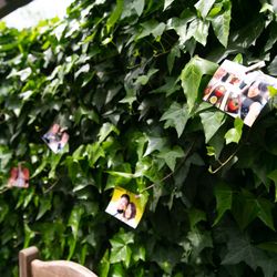 アールベルアンジェチャペル嵯峨野の写真31枚目