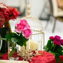 アルマリアン 福岡の写真4枚目